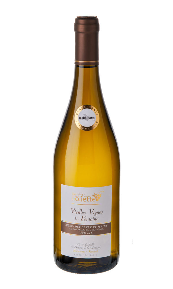 muscadet-vielle-vigne-domaine-de-la-foliette